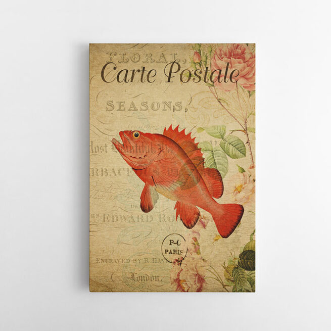 Fish Vintage Postcard