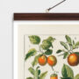 Κρεμαστός Καμβάς: Vintage Εικονογράφηση Φρούτων και Λαχανικών