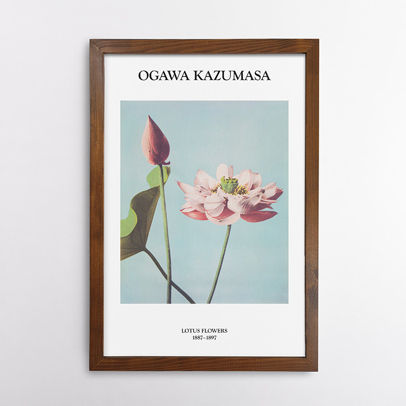 Lotus Flowers (1887–1897) by Ogawa Kazumasa F-2032