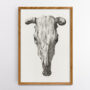 Κρανίο Αγελάδας (1816) – Ζαν Μπέρναρντ σε Κορνίζα