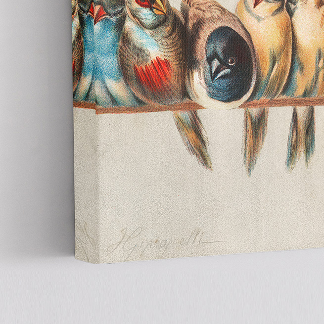 Vintage Πίνακας - Κούρνια με Χρωματιστά Πουλιά του Εκτόρ Τζακομέλι