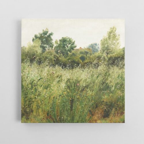 Χωράφι με Βρώμη κοντά στο Βέιμπι (1843) του Skovgaard