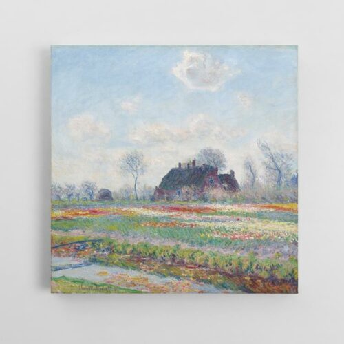 Χωράφια με τουλίπες στο Σάσενχαϊμ (1886) του Κλοντ Μονέ