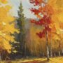 Φθινοπωρινό Τοπίο με Πολύχρωμα Δέντρα